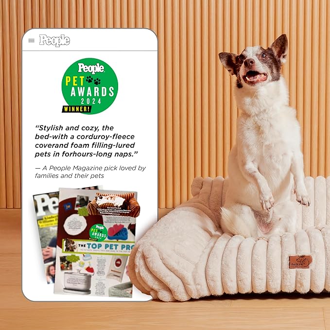 Bedsure ComfyFleece™ Cute Cat Couch for Pets - As Seen on TV on Good Day New York, Fuzzy Cats beds for Indoor Cats with Removable Washable Cover, Supportive Pet Sofa, 24inch, Cream