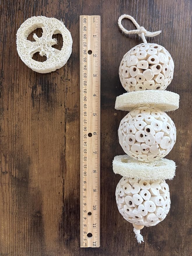 Triple Stack Natural Sola Ball and Loofah Slice Hanging Toy - Medium Birds - Set of Two (Medium)