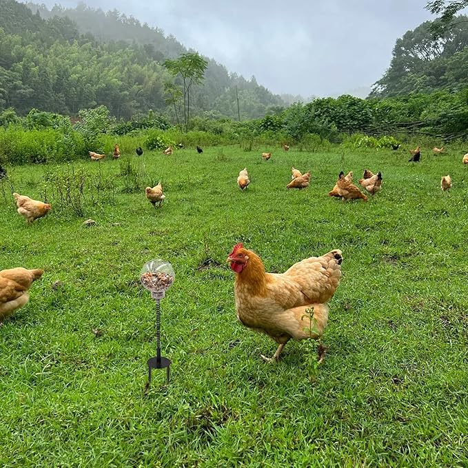 Oooct 2 Pack Chicken Peck Toy - Chicken Enrichment Toys with Swing Feeder & Slow Feeder for Hens, Ducks, Parrots