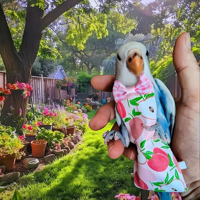 6 Pcs Bird Diapers Bird Harness Flight Suits Diapers Reusable Parrot Nappy with Waterproof Inner Layer Washable Cute Urine Wet Suit Costume for Cockatiel Conure Budgie Macaw Parakeet, S