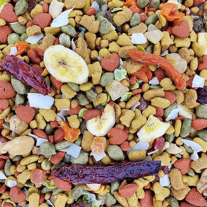 Higgins 2 Pack of Intune Harmony Food for Parrots and Large Birds, 3 Pounds Each