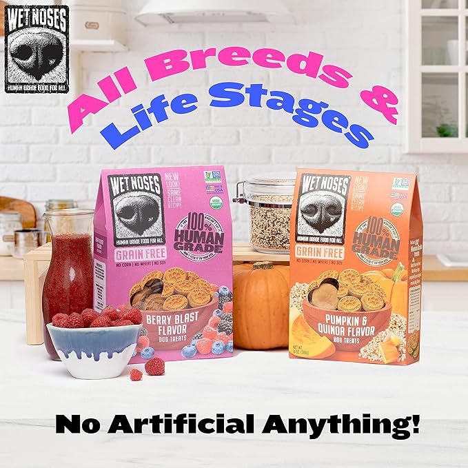 Wet Noses Organic Crunchy Dog Treats – All-Natural, Human-Grade, Non-GMO, Healthy Training & Delicious Snacks for Dogs, All Dog Sizes & Breeds – Grain Free Peanut Butter & Molasses, 14oz (Single Pack)