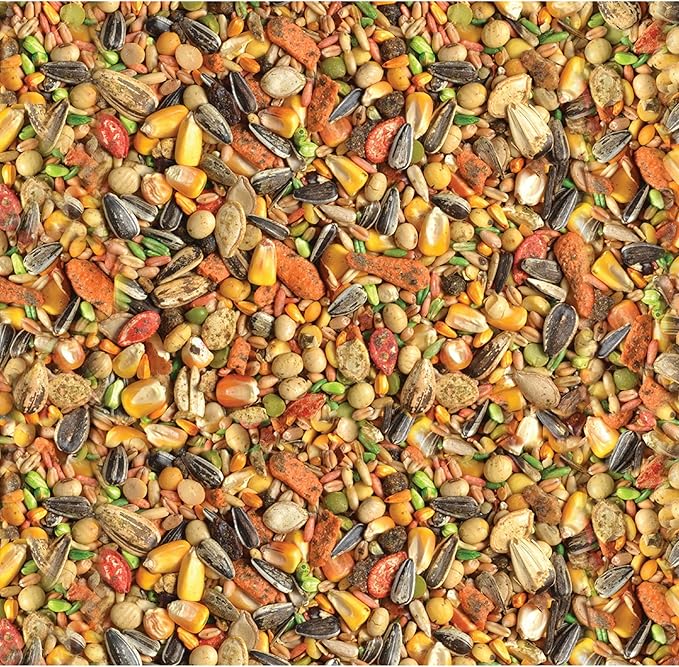 Wild Harvest Advanced Nutrition Parrot 8 Pounds, Seed, Grain and Vegetable Mix (Pack of 2)