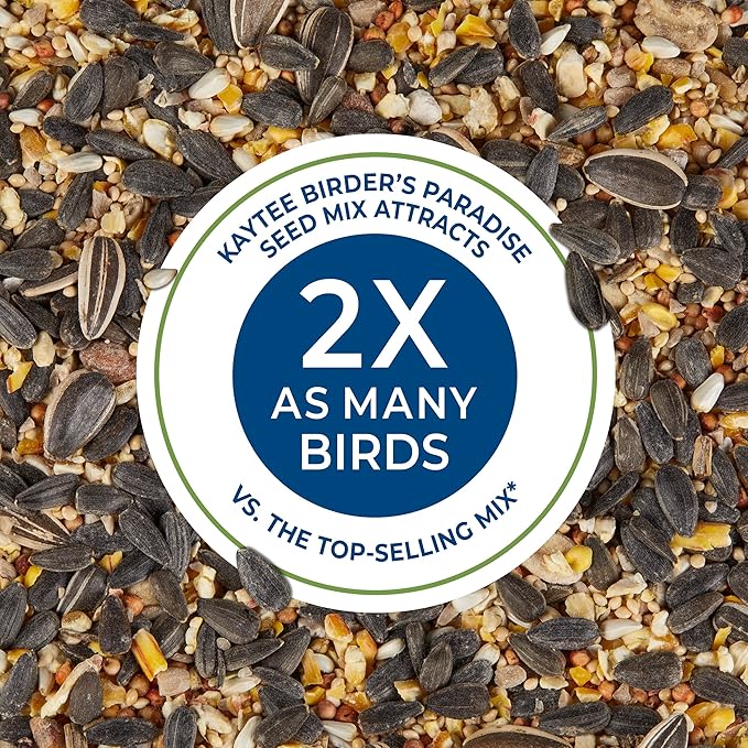 Kaytee Wild Bird Birders’ Paradise Seed Cake for Cardinals, Blue Jays, Woodpeckers, Finches and More, 2 Pounds, Pack of 4