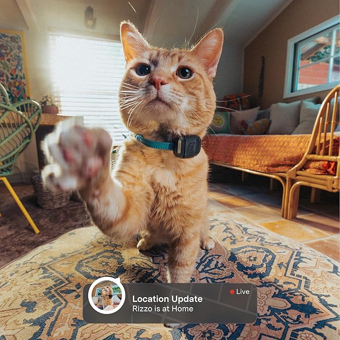 Fi Mini GPS Tracker for Cats — Lightweight Collar Attachment, Virtual Fences, Escape Alerts, Step & Health Tracking, Waterproof Cat Tracker — 6-Month Membership Included