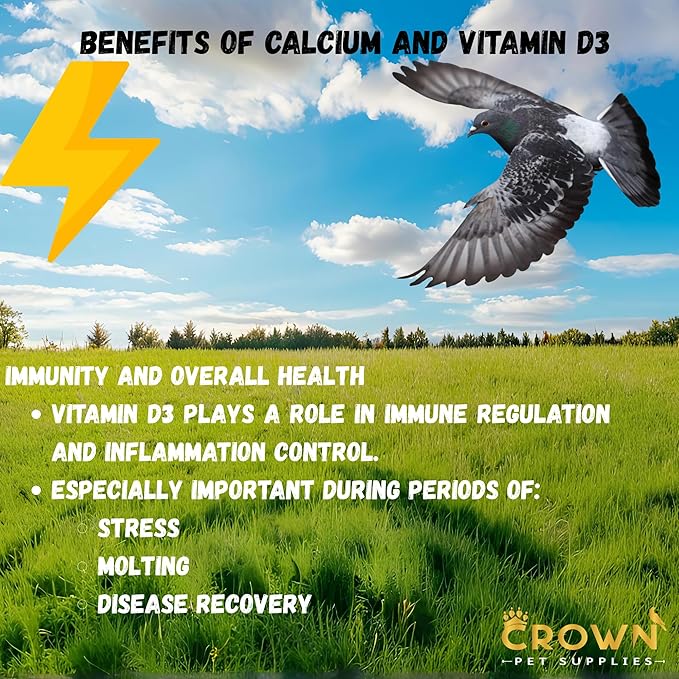 Calcium with Vitamin D3 Powder Supplement for Pigeons – Supports Strong Bones, Healthy Eggs, and Feather Development – Easy-to-Mix Formula for Racing, Breeding, and Young Birds 100G