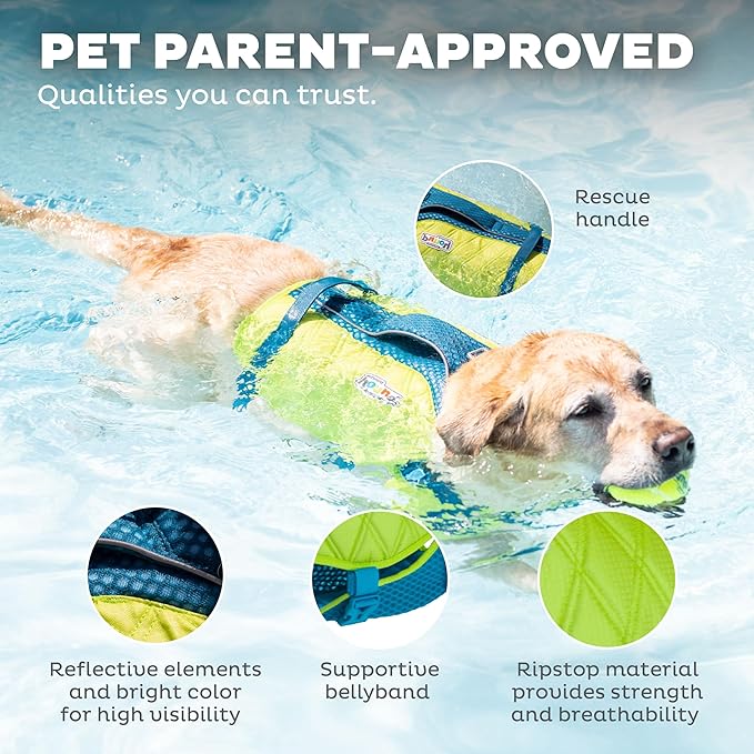 Outward Hound Standley Sport Green Performance Dog Life Jacket, XL