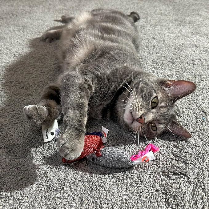 SPOT Burlap Mice Cat Toys, Interactive & Durable Catnip Toys for Indoor Cats & Kittens, Perfect for Hunting & Play, 3-Inch, Assorted Colors, 3 Pieces