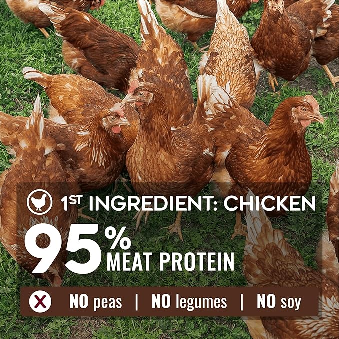 Nature’s Logic Pure Naturals™ 100% Natural Grain-Free Chicken Recipe Synthetic-Free Dry Dog Food, 24 lbs