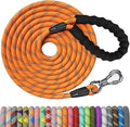 NTR 100FT Leash for Large Breed Dog, Long Leash with Swivel Lockable Hook, Padded Handle and Highly Reflective Thread, Pet Lead for Walking, Hunting,Camping, Backyard for Small Medium Large Dog