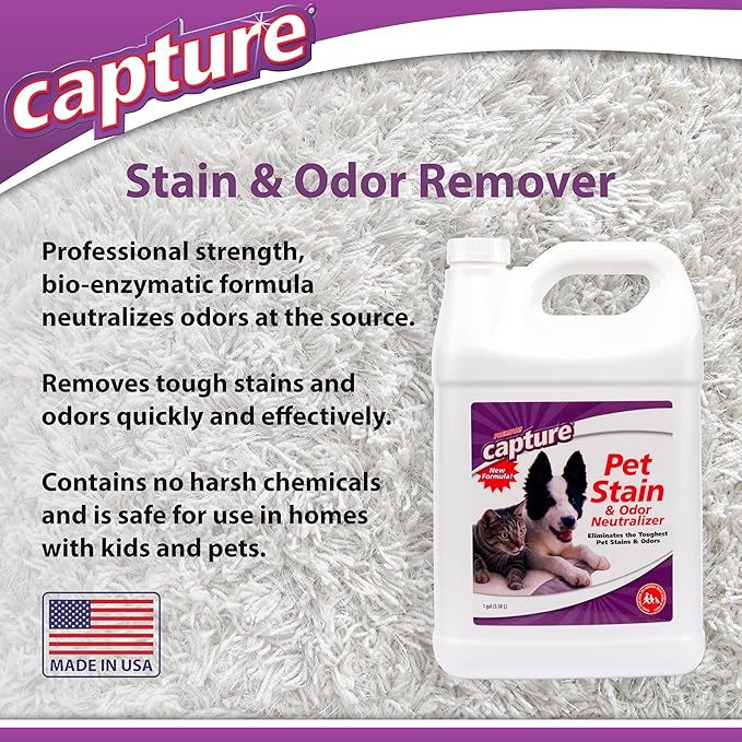 Capture Pet Stain & Odor Remover - Enzyme Pet Odor Eliminator for Home, Carpet Stain Remover for Cats & Dog Pee, Cat Urine Destroyer, Carpet Cleaner Spray - 1 Gallon