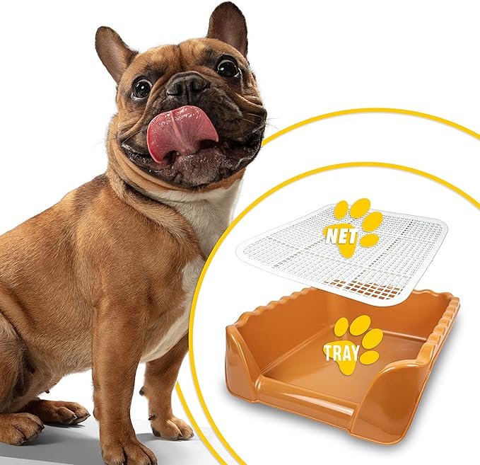 Lutema Indoor/Outdoor Training Dog Potty Tray for Small and Medium Puppies Litter Boxes in (Orange Brown)