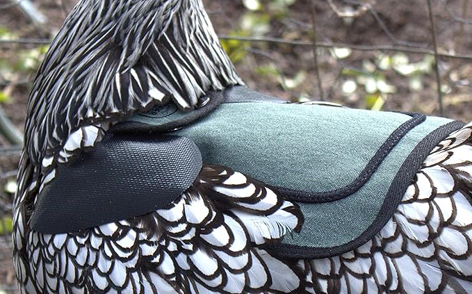 DOWN UNDER OUTDOORS 2 Pack Small Chicken Saddles for Bantams and Young Birds, Includes Shoulder Covers (Teal)