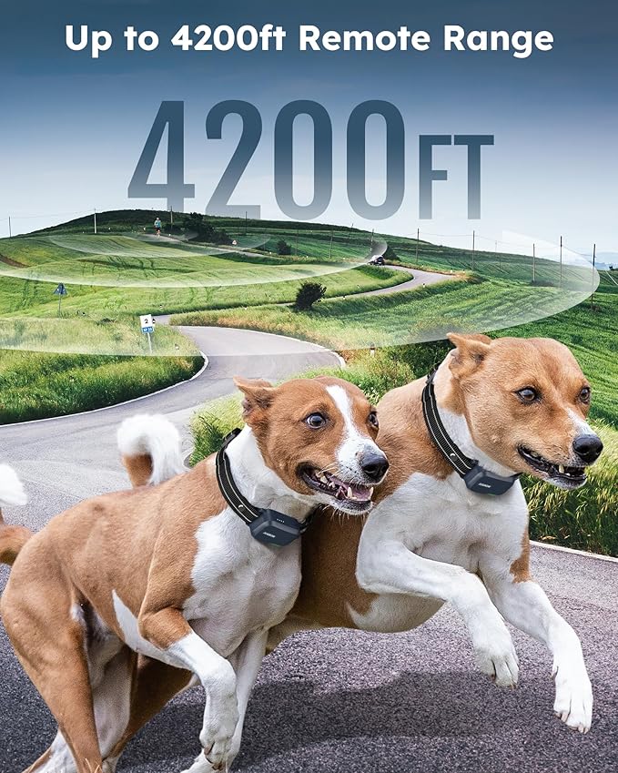 Jugbow Shock Collar for 2 Dogs - 4200FT Dog Training Collar with Remote IPX7 Waterproof Electric Collar with 4 Training Modes, Security Lock E-Collar for Large Medium Small Breeds(Navy Blue)