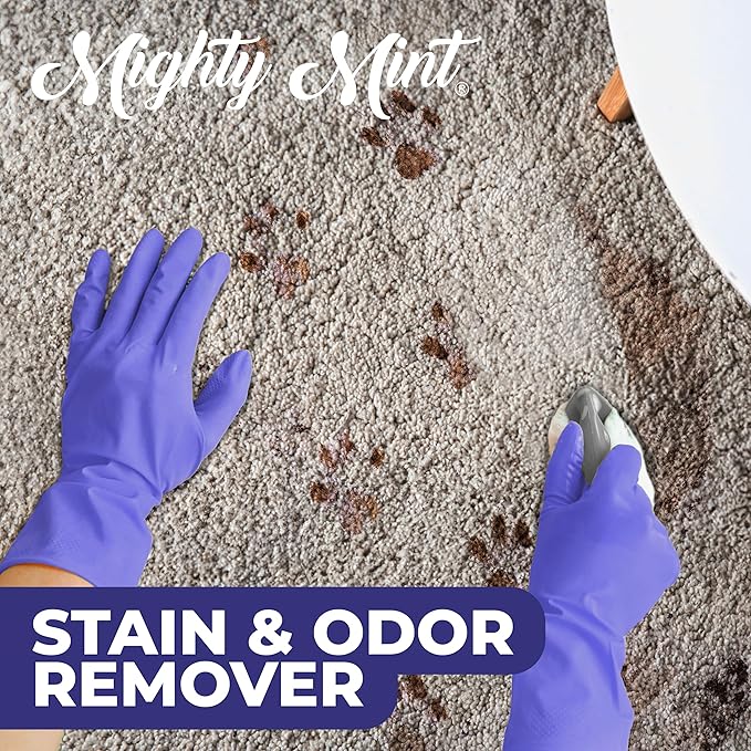 Mighty Mint Stain & Odor Remover, Natural Enzyme Spray Safely Neutralizes Odor and Stains from Dogs, Cats on Carpet, Furniture, Natural Peppermint Scent, 16oz