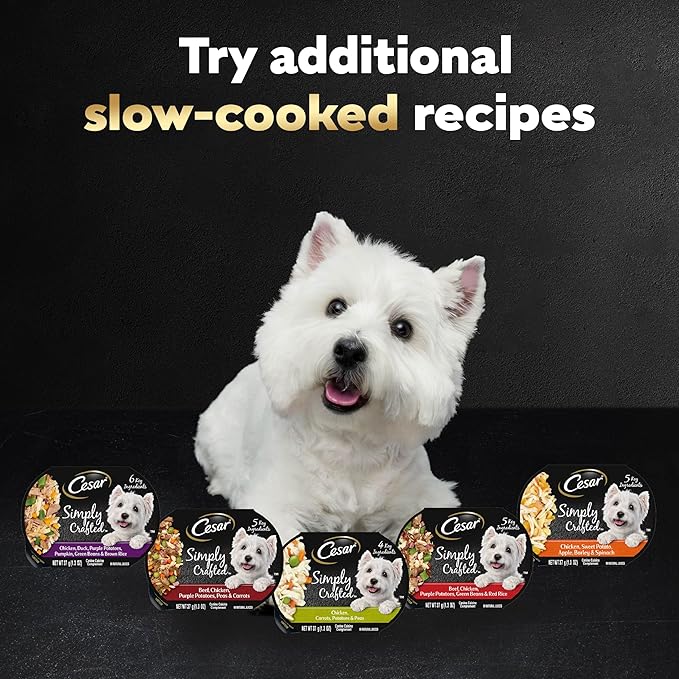 Cesar Simply Crafted Wet Dog Food Toppers for Dry Food, Chicken and Beef Meal Topper Variety Pack, 1.3 oz. Tubs, Variety Pack, 40 Count