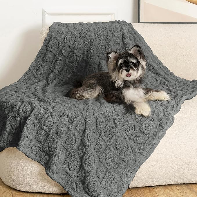 gogobunny Calming Plush Dog Cat Blanket 300GSM Coral Fleece, Ultra-Soft Machine Washable Pet Bedding for Small Medium Dogs Cats Puppies Kittens (Anthracite, 40x50)