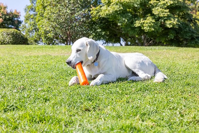 Chuckit! Super Crunch Fetch Stick Dog Toy - Durable TPR Material, Enticing Crunch Sounds, Compatible with Medium and Large Dogs, Mentally and Physically Engaging - 9.2 inches, for Breeds 20-100 lbs