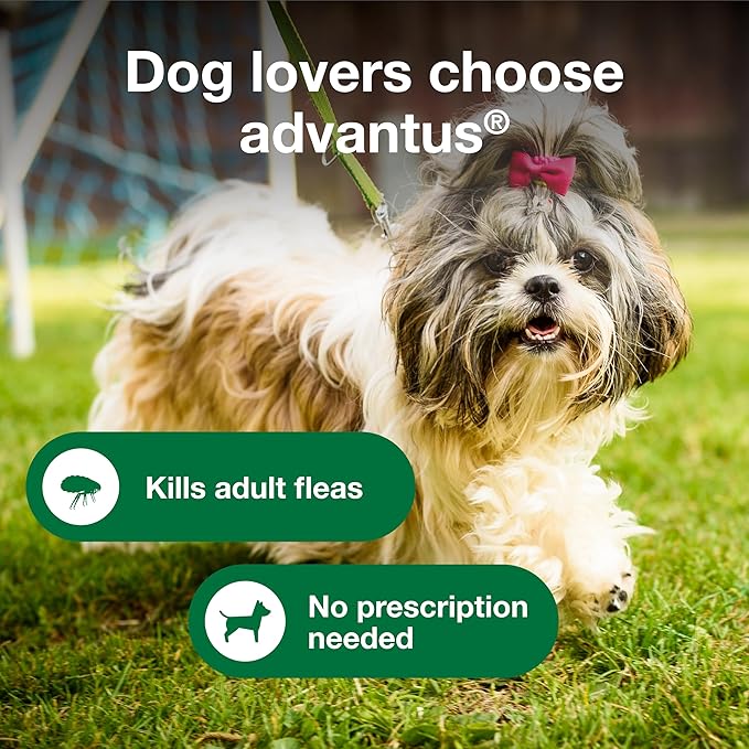 Advantus Dog Fast Acting Oral Flea Treatment Soft Chews Dogs 4 - 22 lbs. | 7 ct.