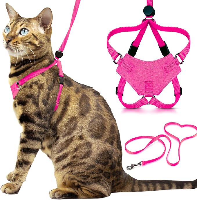 Houdini™ Escape Proof Kitten Harness and Leash Set by OutdoorBengal – Extra Small – Comfy, Adjustable and Lightweight - Houdini Cat Harness Escape Proof for Small Cats + Cat Leash 6ft (Pink, XS)