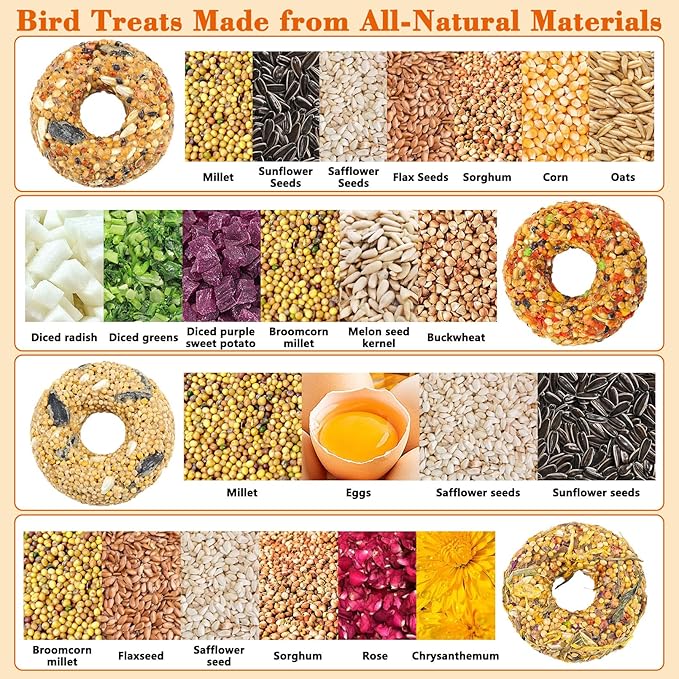 Fhiny Parakeet Treats, 4 PCS Donut Shaped Natural Grain Cockatiel Food with Fruits Vegetables Flowers and Herbs for Parrot Conure Lovebird Training Rewards and Beak Grinding