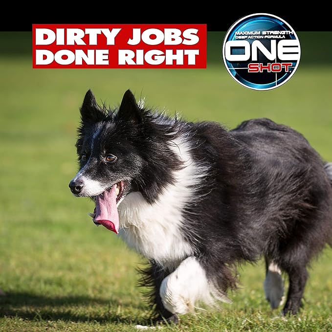 Best Shot One Shot Dry Clean Spray, Alcohol-Free Formula, Waterless Shampoo Spray for Pets, Safe for Dogs, Cats, and Horses, 16 Oz.