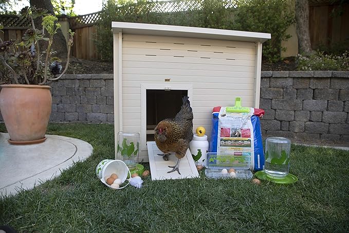 New Age Pet 7 Piece Chicken Accessory Kit