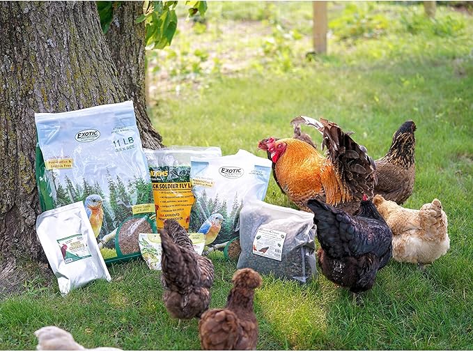 Dried Mealworms - 100% Natural, Non-GMO, High Protein, Bulk Insect Treat for Chicken, Laying Hen, Chick, Wild Bird, Bluebird, Duck, Goose, Turkey, Chickadee, Titmice, Wren, Reptile, Fish (5 lb.)