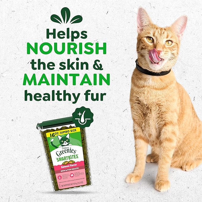 Greenies Cat Treats, Feline Smartbites, Skin & Fur Health, Crunchy and Soft Cat Treats, Salmon Flavor, 16 oz. Tub
