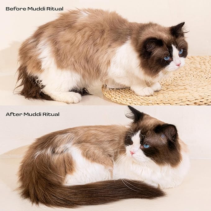 Cat Concentrated Waterless Rinse-Free Shampoo & Conditioner with Bath Mitt – Sensitive Skin, Stress & Itch Relief Gentle Leave-in Serum – 98.65% Naturally Derived-Dry Shampoo for Cats–8×10ml