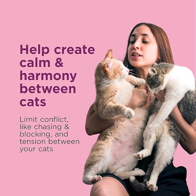 Comfort Zone 30 Day Starter Kit; 1 Multicat Diffuser & 1 Refill; Cat Calming Pheromone; Reduce Stress, Aggression, Fighting, Urine Marking, Scratching