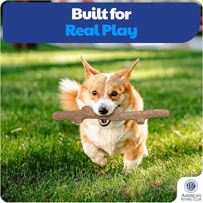 American Kennel Club Training Wood-Infused Dog Chew Toy – Moderate Chewers, Durable & Long-Lasting, Supports Dental Health