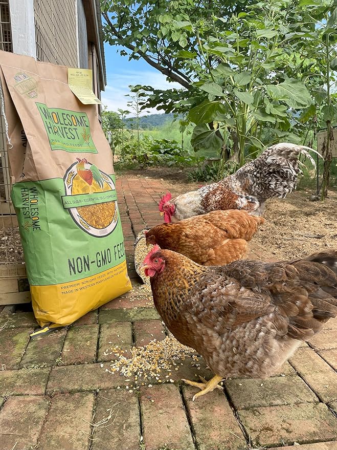 Non-GMO Soy Free-Corn Free Whole Grain Layer Mash (40 lb)