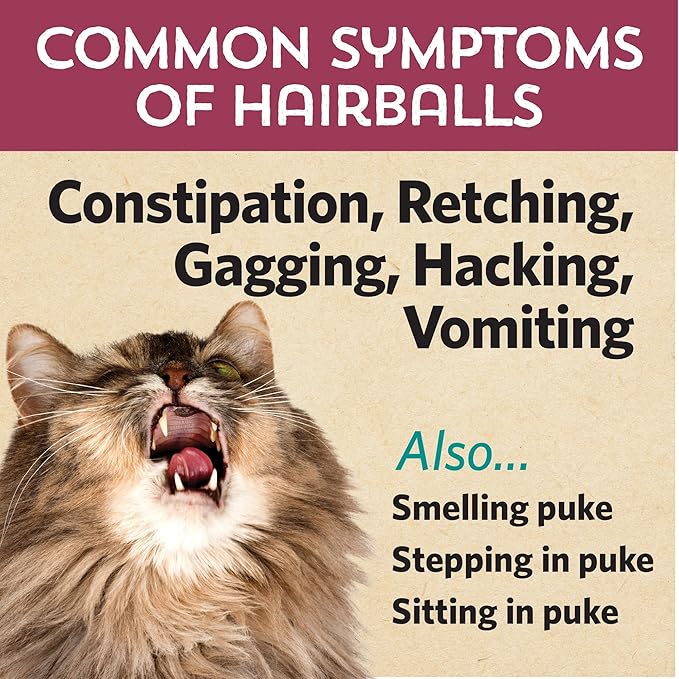 Fidobiotics - Meowbiotics Hairball Buster Powder for Cats with Probiotics 2 Billion CFU Smoked Fish Chowdah Flavor - 30 Serving(s) - Pack of 2