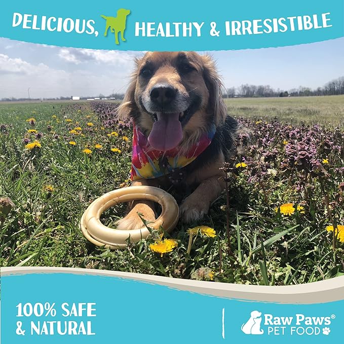 Raw Paws Compressed Rawhide Rings for Dogs, 6-inch, 5-Count - Packed in The USA - Rawhide Rings - Digestible Rawhide Donuts - Natural Hide Dogs Chews - Natural Puppy Teething Rings