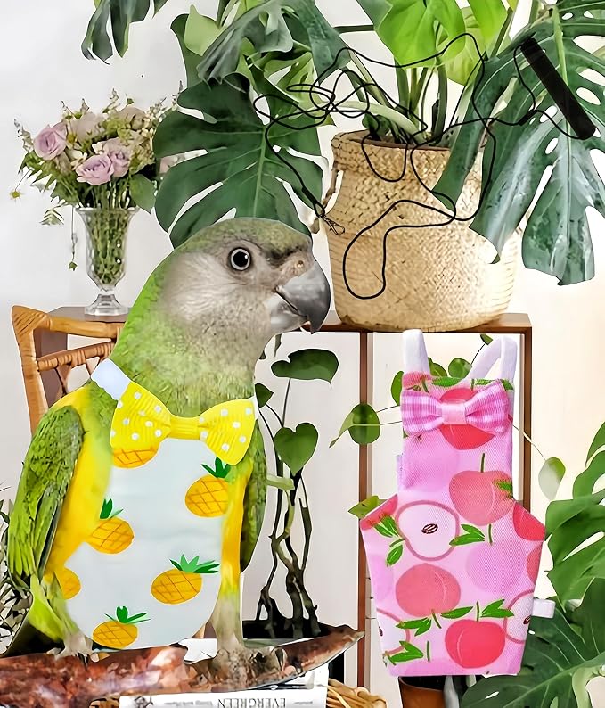 2Pcs Bird Diapers Bird Harness Flight Suits Diapers with 2Pcs 80 Inch Flying Leash Parrot Nappy Pigeon Pants Urine Wet Suit for Cockatiel Conure Macaw Budgies Parakeet-Apple&Pineapple