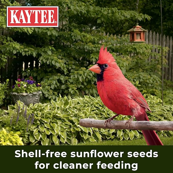 Kaytee Wild Bird No Mess Food Seed Blend for Blue Jays, Woodpeckers, Juncos, Cardinals, Grosbeaks, Sparrows, and Finches, 5 Pound (Pack of 3)