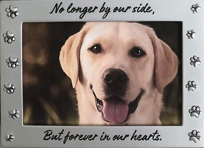 Pet Memorial Picture Frame Keepsake For Dog or Cat, Perfect Loss Of Pet Gift For Remembrance And Healing