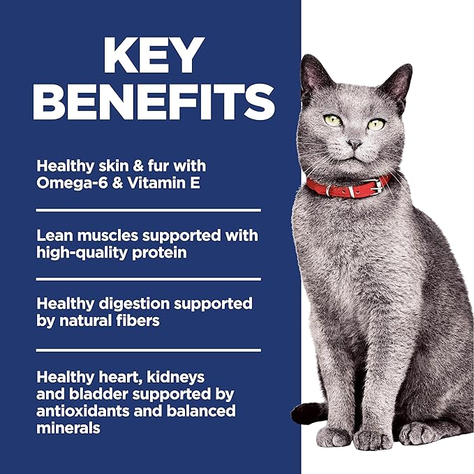 Hill's Science Diet Senior Adult 7+ Premium Nutrition Dry Cat Food, No Corn, Wheat, or Soy, Chicken Recipe, 7 lb. Bag