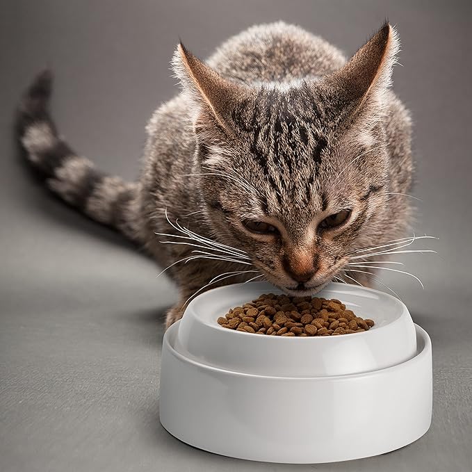 CatGuru Cat Bowls, Whisker Friendly Food Bowl for Indoor Cats, Reliefs Whisker Fatigue, Wide Kitten Dish, Non Slip Pet Dishes, Shallow Pet Plates (Marshmallow, (Pack of 2))