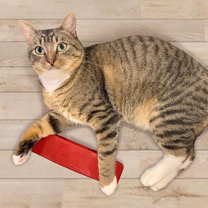 StripHair Gentle Groomer for Dogs Cats 6-in-1 Shedding Grooming Bathing Massage Tool and Pet Hair Remover (Soft Red)
