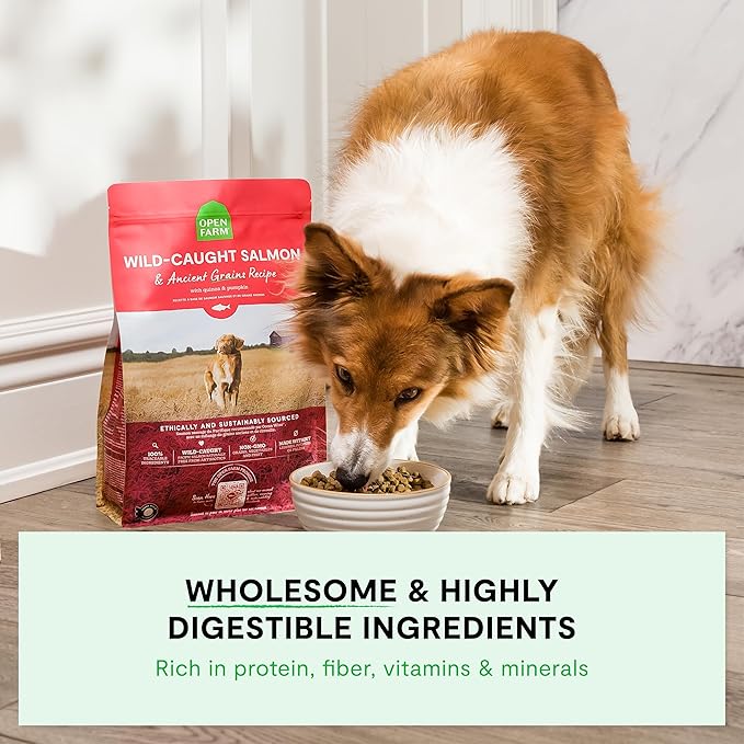 Open Farm, Ancient Grains Dry Dog Food, Protein-Rich & Nutrient Dense, 90% Animal Protein Mixed with Non-GMO Fruits, Veggies and Superfoods, Pasture Raised Lamb Recipe, 4lb Bag