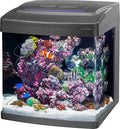 Coralife Smart BioCube Jr, Aquarium Kit, Wi-Fi and Bluetooth Compatible, for Saltwater and Freshwater Environments, 14 Gallons