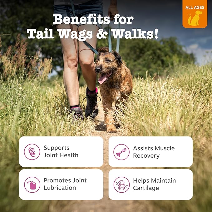 Zesty Paws Hip and Joint for Dogs, Glucosamine for Dogs Hip and Joint Supplement with Chondroitin, MSM, Vitamins C & E - Bacon, 90 Count (Pack of 2)