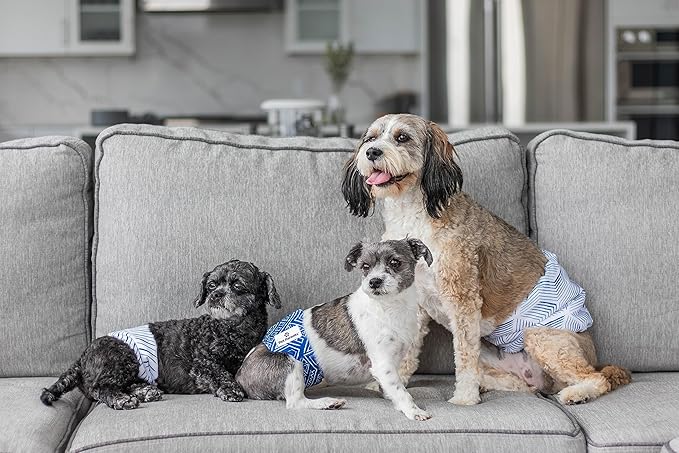Pet Parents® Washable Belly Bands for Male Dogs (3pack) + Extendrs® of Durable Dog Diapers Male, Premium Male Dog Diapers & Dog Wraps (Small, Kahuna)
