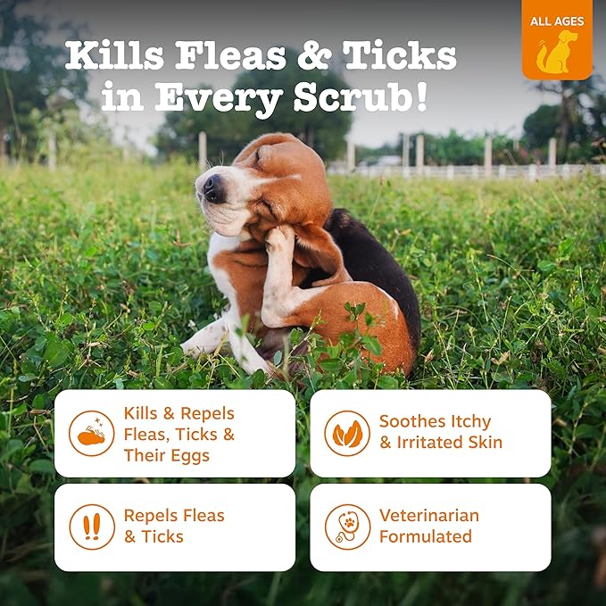 Zesty Paws Flea and Tick Shampoo for Dogs - Veterinarian Formulated Flea Shampoo for Dogs to Kill Fleas, Ticks & Their Eggs - Soothes Itchy & Irritated Dog Skin - Cedarwood, Rosemary & Peppermint Oil
