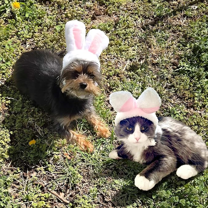 Cat Bunny Rabbit Ears Hat Costumes, Rabbit Ears for Dogs Party Costume Easter, Pet Accessory Cute Headwear, Easter Pet Costume for Cats Small Dogs Puppy (White)