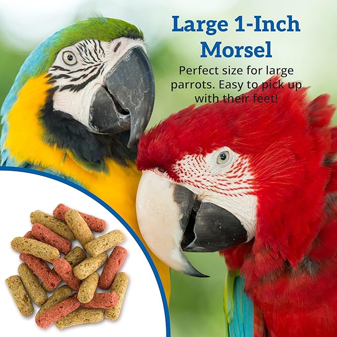 Scenic Mix Jungle Large Parrot Food - 2 lb Bag - 1" Bird Pellets - Complete Nutrition for Macaws, Amazons, Cockatoos, African Grey Parrots & More
