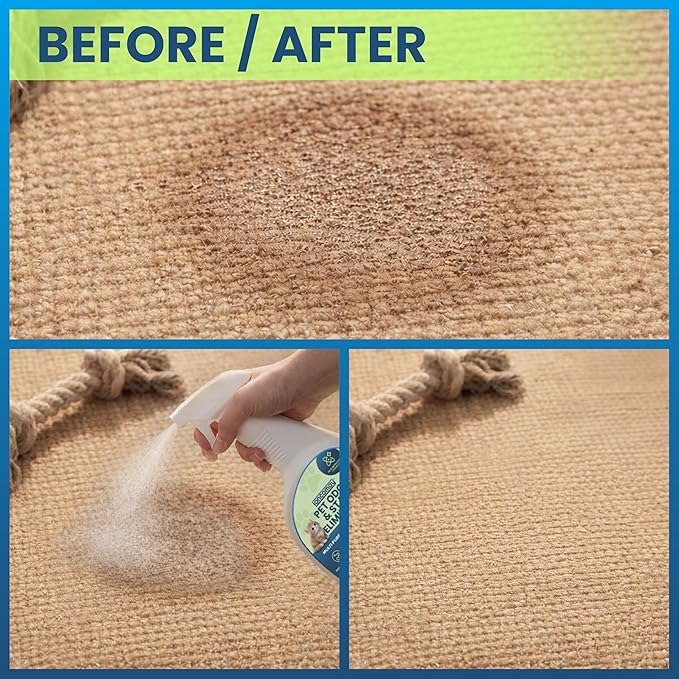 Enzyme Cleaner for Dog & Cat Urine, Pet Urine Odor Eliminator, Enzymatic Carpet Stain Remover for Home, Pet Odor Eliminator Cleaning Spray Kit, 32 Fl Oz + 4 Fl Oz