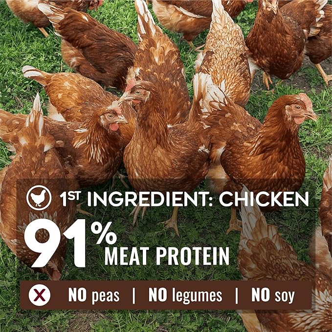 Nature’s Logic Pure Naturals™ 100% Natural Chicken Recipe Synthetic-Free Dry Dog Food, 24 lbs